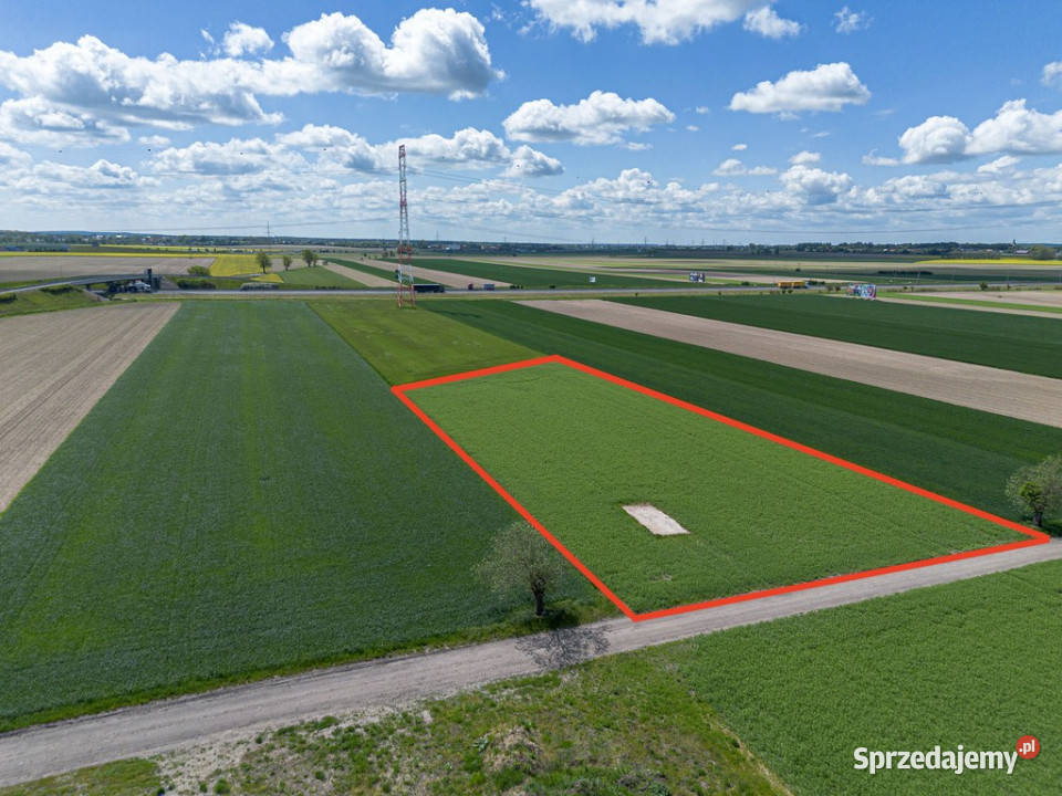 Wyjątkowa działka przemysłowa w Gołuskach 260zł/m2 Sprzedaż Gołuski