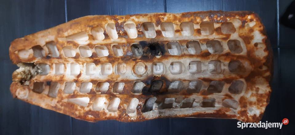 Gąbka siedzenia jawa mustang 50 Pozostałe Legionowo