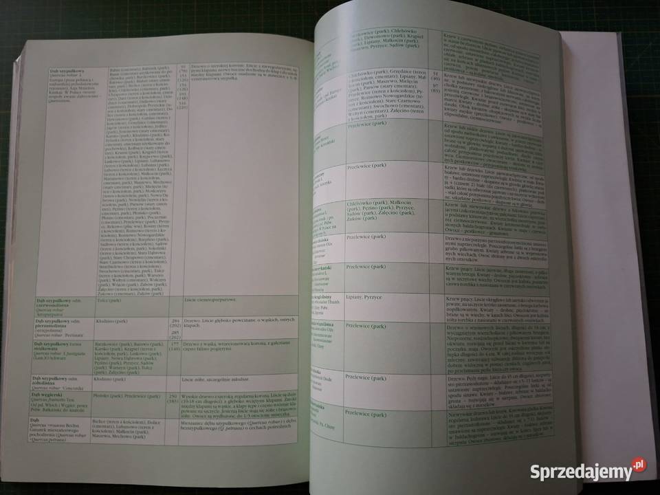 Z Lipian do Maszewa i z powrotem Kultura i Rozrywka Kraków