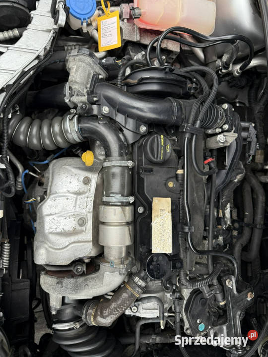 Ford Focus zadbany oryginalny przebieg 100 kurtyny powietrzne Focus Poznań sprzedam