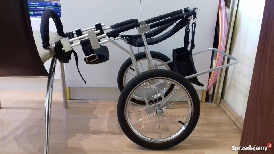 Wózek rehabilitacyjno inwalidzki psa Szczecin