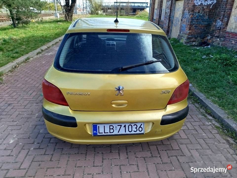 Peugeot 307 LPG immobilizer Siedlce