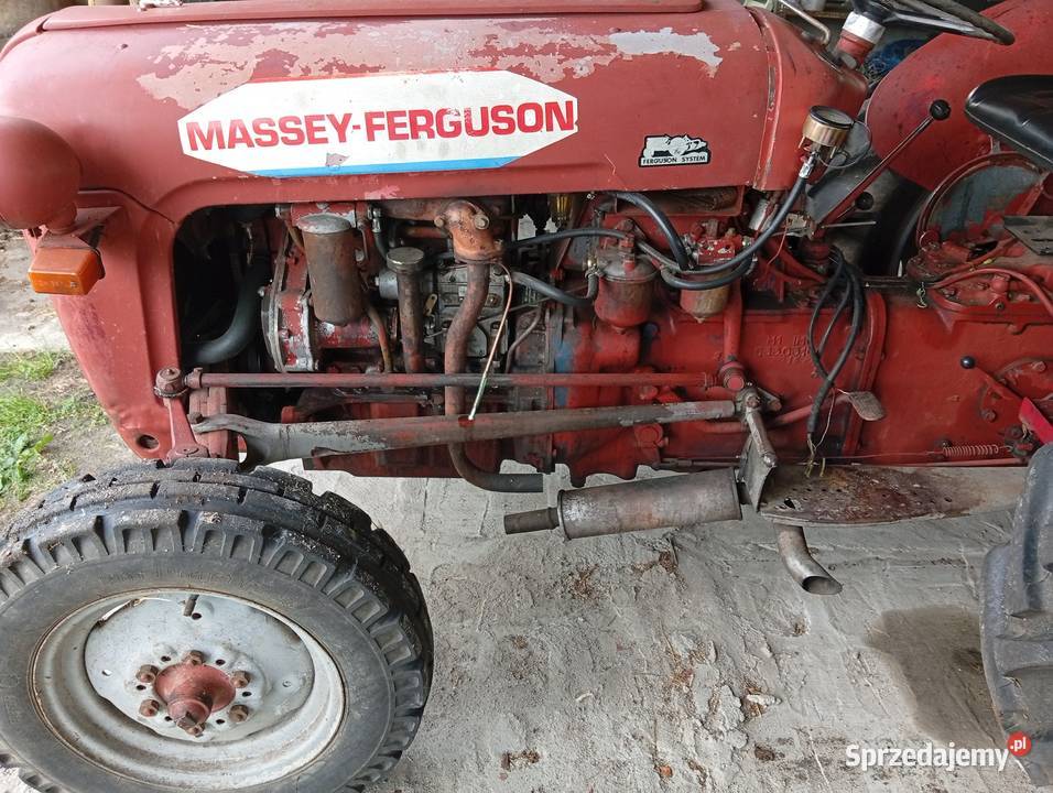 Massey Ferguson 35 IMT stary ciągnik rolniczy Gorzów Wielkopolski