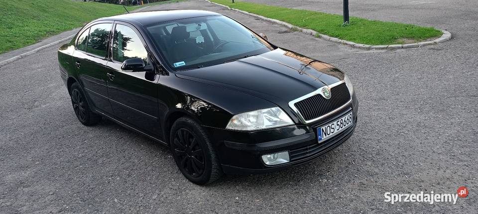 Skoda Octavia 2 19 TDI 105 Chełm