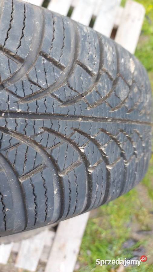 Opona diplomat zimowa 1856515 Samochodowe