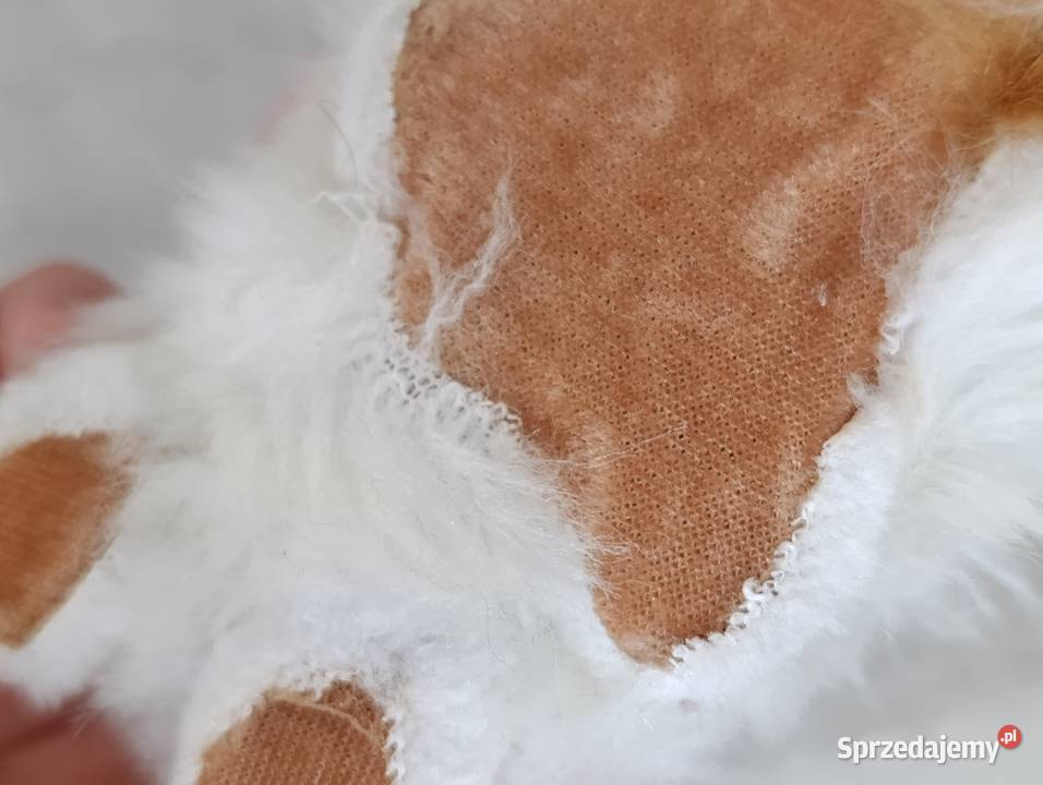 króliczek królik figurka Poznań