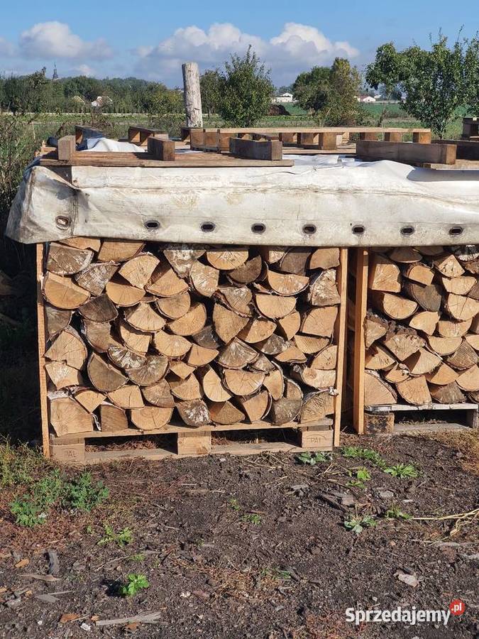 Drewno kominkowe opałowe sezonowane Opał wielkopolskie Koło sprzedam