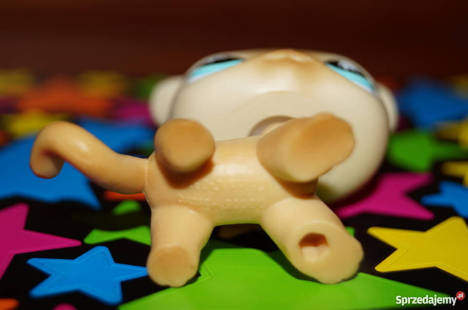 LPS shorthair UNIKAT 816 Littlest Pet Shop kot Czerwionka-Leszczyny