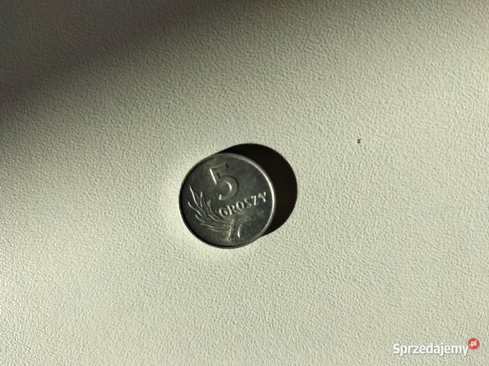 MONETA 5GR 5 GROSZY 1962 Kamień-Kolonia