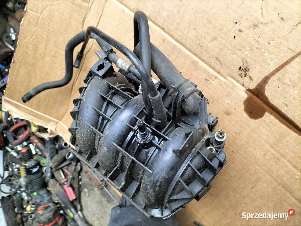 OPEL AGILA A CORSA C 10 KOLEKTOR SSĄCY LISTWA Kamień-Kolonia