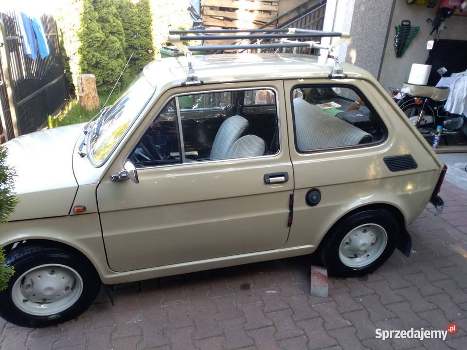 Zdobywca pucharów FIAT P Wyszków