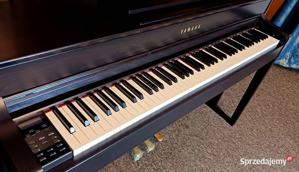 Pianino cyfrowe Yamaha Clavinova CLP535 Borów