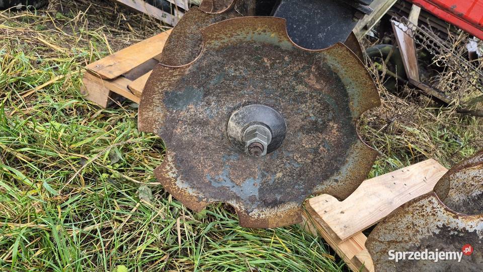 Talerzówka v2 Horyszów Polski