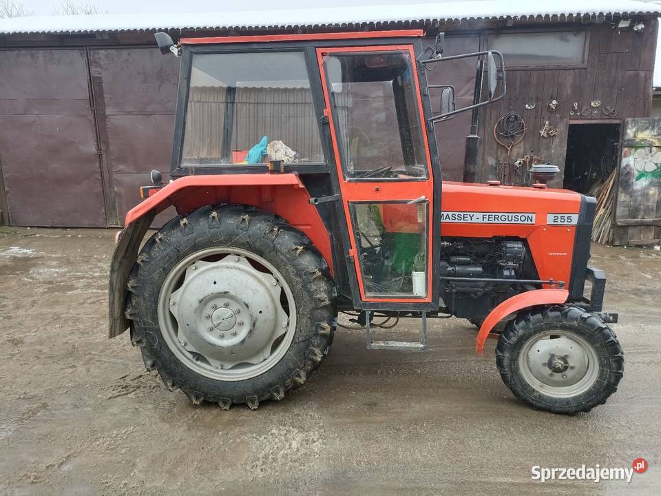 Massey Ferguson 255 Charsznica sprzedam