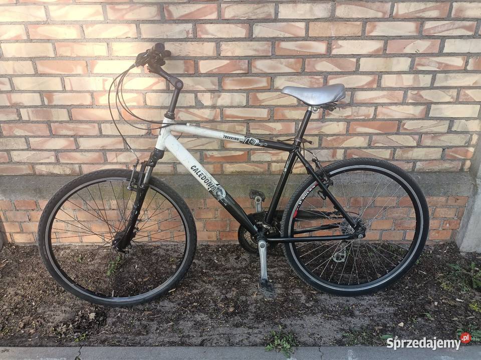Rower Caledonia koła 28 Trekkingowe sprzedam