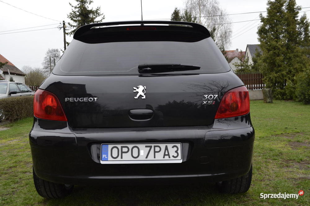 Peugeot 307 20 Xsi taki Rok produkcji 2003