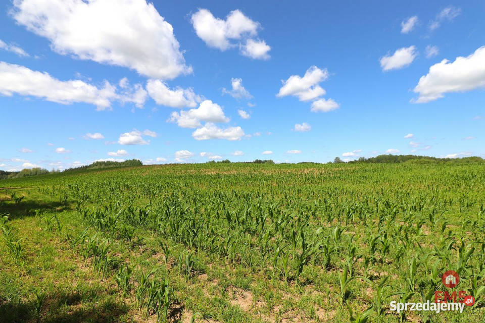 Grunt Rożyńsk Wielki 1100m2