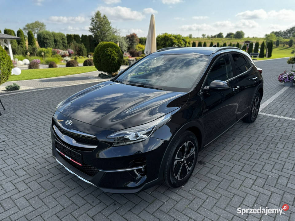 Kia XCeed Serwisowany KIA Oryginalny lakier NAVI Modliborzyce