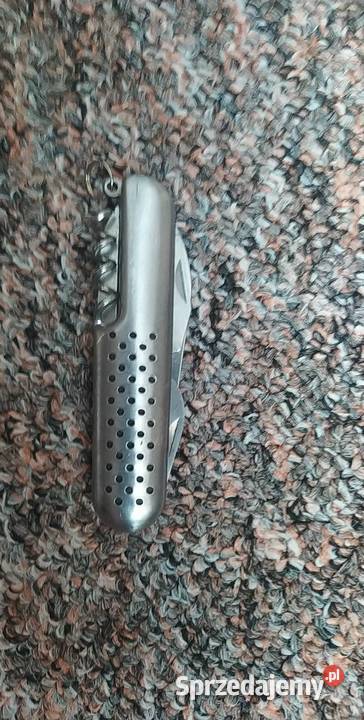 Scyzoryk kujawsko-pomorskie Włocławek