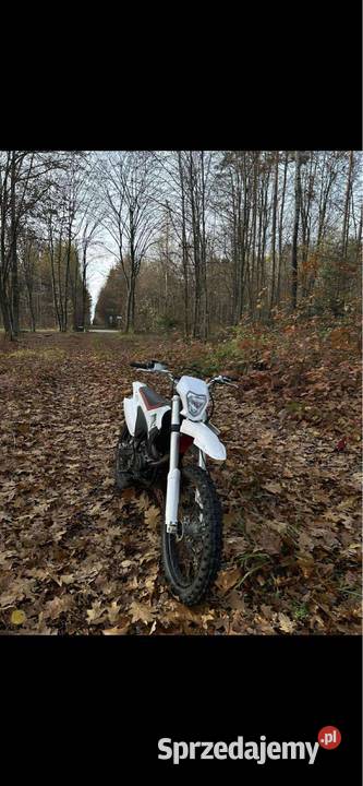 Rfz Lizzard 250300cc Oksa