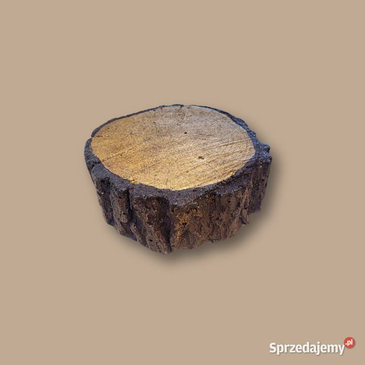 Plaster pnia betonowe drewno na chodnik ścieżkę Ogród