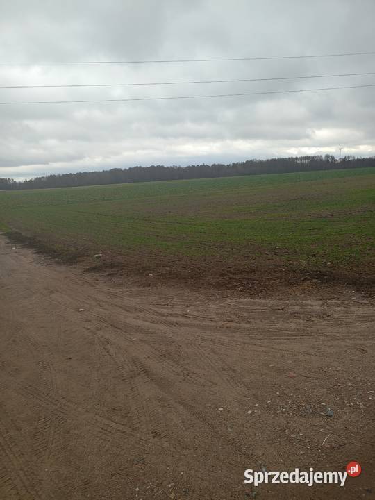 MławaNowa Wieś 036 ha dojazd Mława