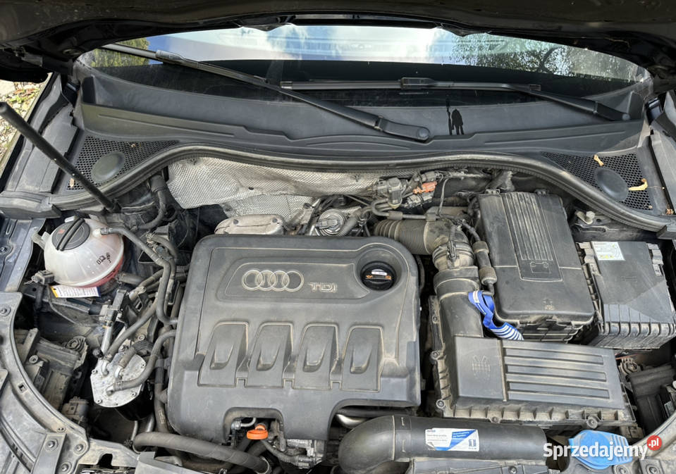 Audi Q3 quattro Automatic lakier metallic sprzedam