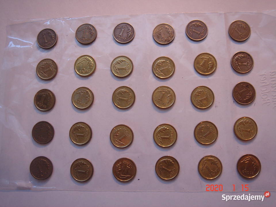 zestaw 2 groszówek polskich 1990 2025 łódzkie