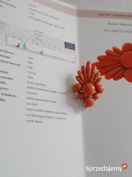 Broszka Koral Antyk Złoto IXX w Antyki, Sztuka, Kolekcje Białystok