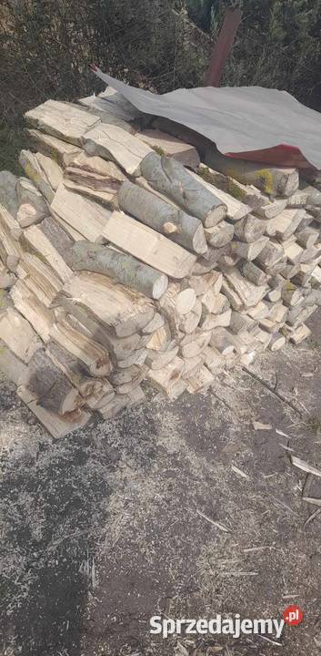 drzewo opałowe Sosnatopoladąbbrzoza z Gidle