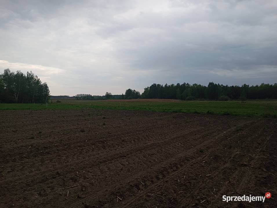 Gospodarstwo rolne działka agroturystyka lubelskie Orzechów-Kolonia