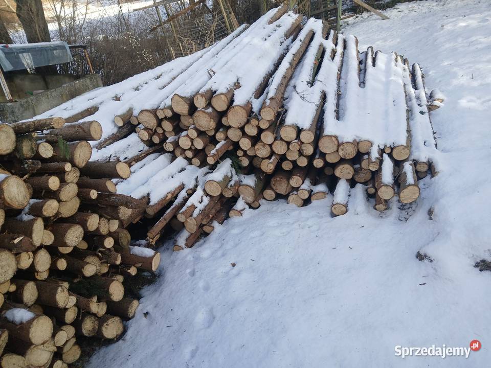 Steple budowlane Leszczyna