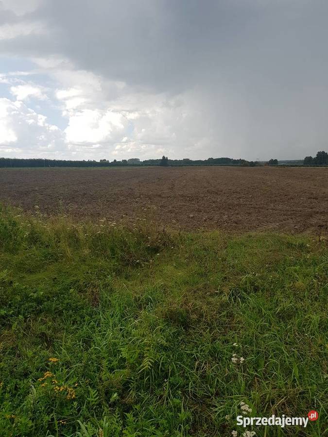 Działka rolna 3ha mazowieckie Mogielnica