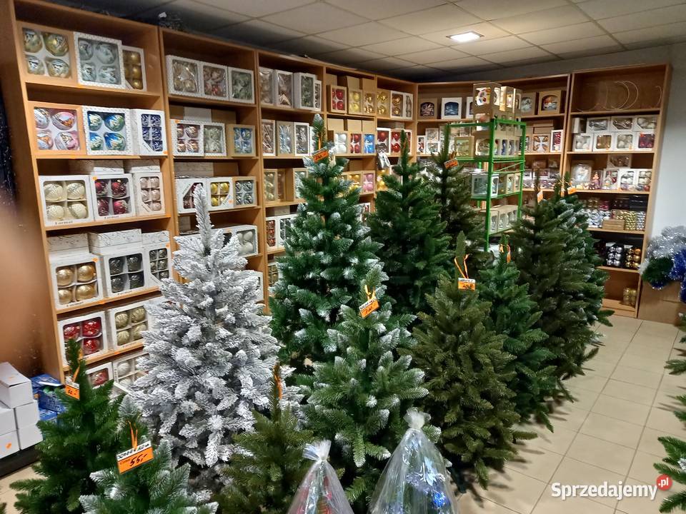 Ozdoby Świąteczne Choinki Żywe i Sztuczne Międzyborów