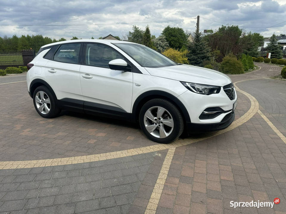 Opel Grandland X Lipówki sprzedam