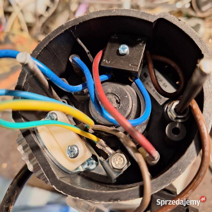 młynek France elektryka szczotkotrymacze Rzeszów