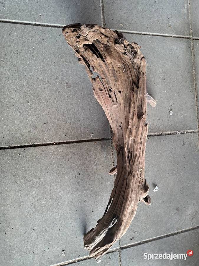 Korzeń korzenie do akwarium Zwierzęta Lublin