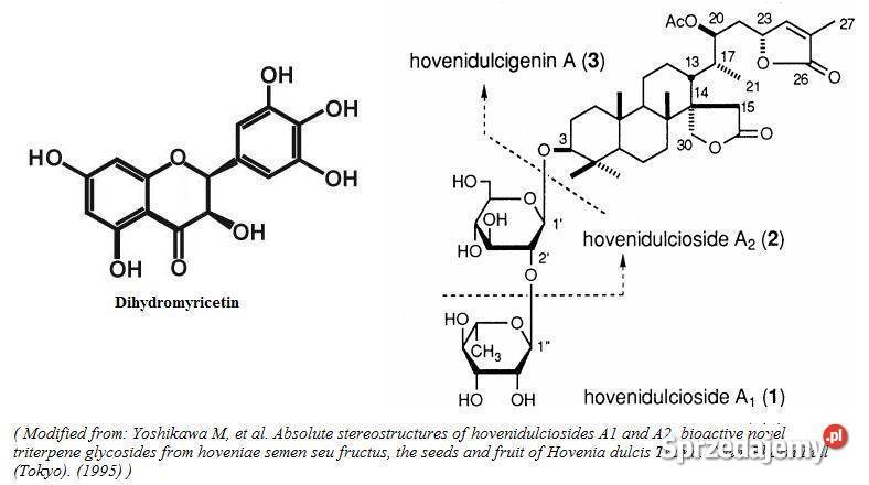 Dihydromyricetin Koncentrat 51 Jelenia Góra