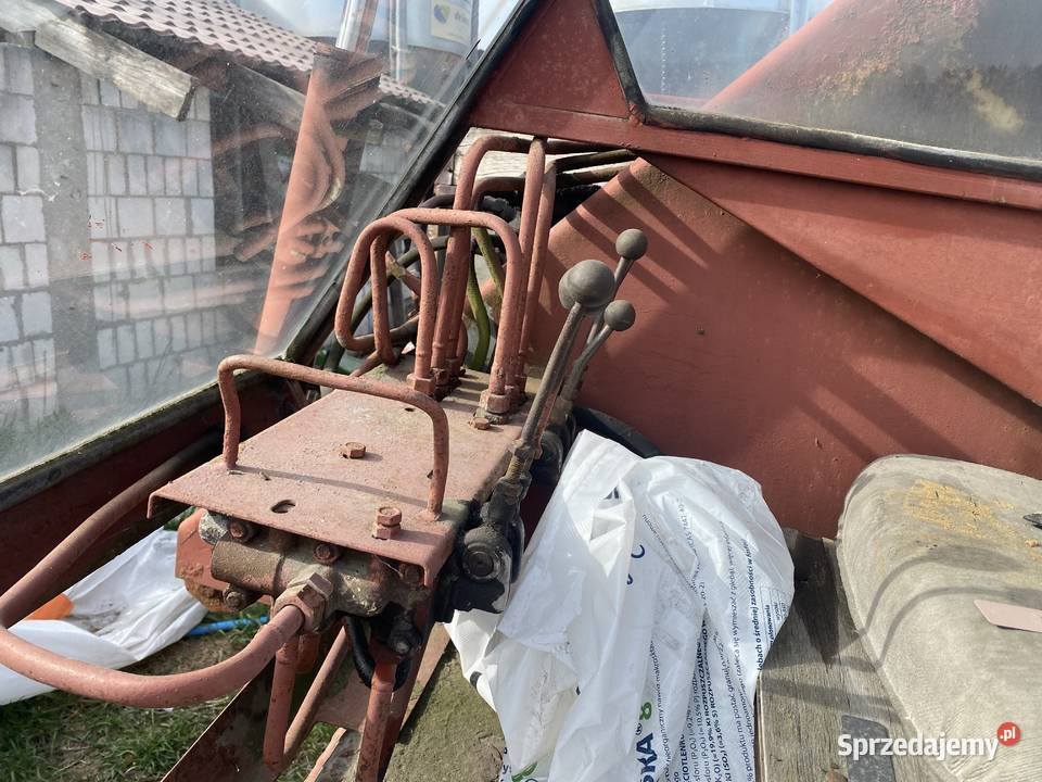 Cyklop sprzedam Goździk