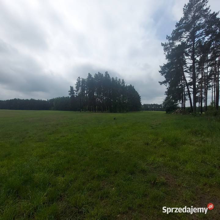Działka siedliskowa Grunty i działki Huta