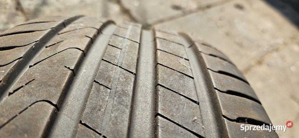 Opony letnie Pirelli Cintauro 2055516 Opony i felgi