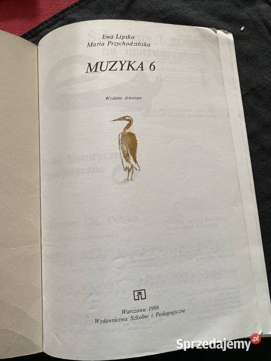 Muzyka kl6ELipska Lublin