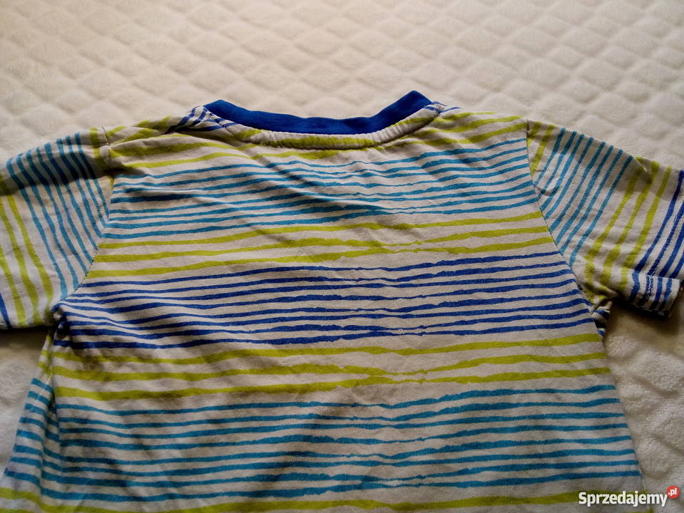 Bluzka chłopięca krótki rękaw Cool Club 92 Rogoźnik