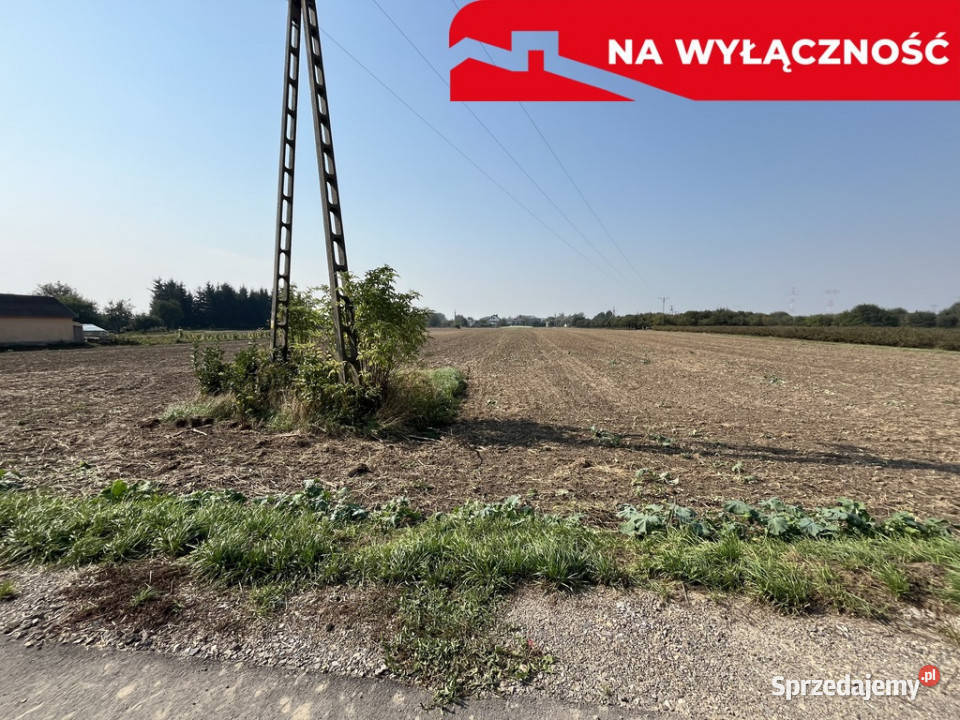 Działka rolnobudowlana 031 ha w Gołębiu kPuław Gołąb