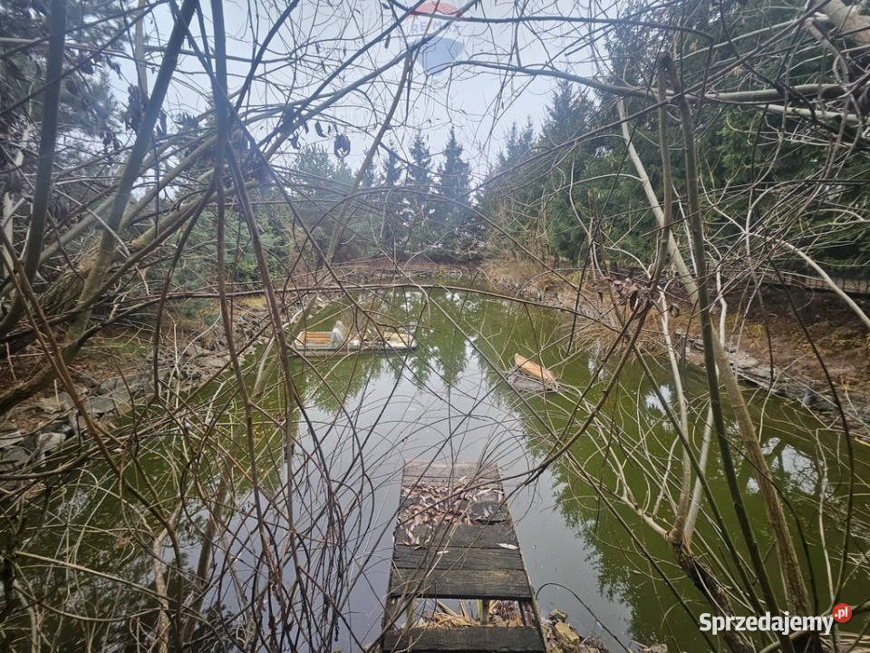 Działka Rod ze stawem do własnej aranżacji Michałów-Reginów