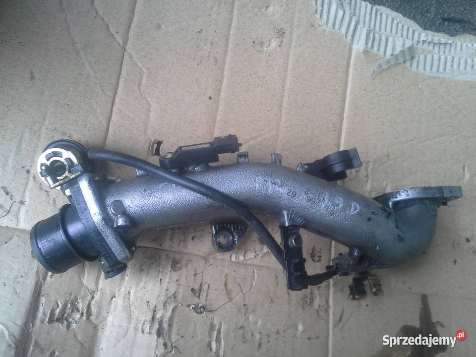 NISSAN PRIMERA P12 przepustnica rura czujnik Dębno