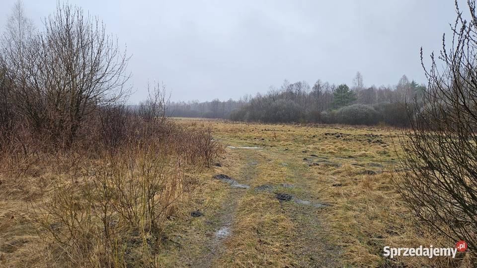 Działka Rolna Szczerców Podklucze 2769m2 polna