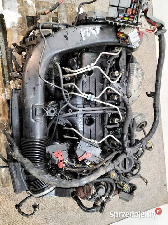 SILNIK KOMPLETNY DIESEL D5244T10 24 D D5 20V 205 świętokrzyskie