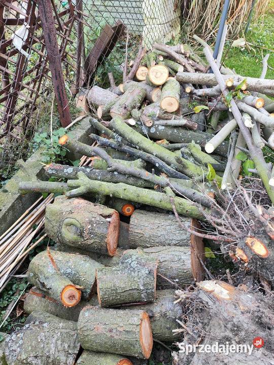 Drewno drzewo gałęzie opał