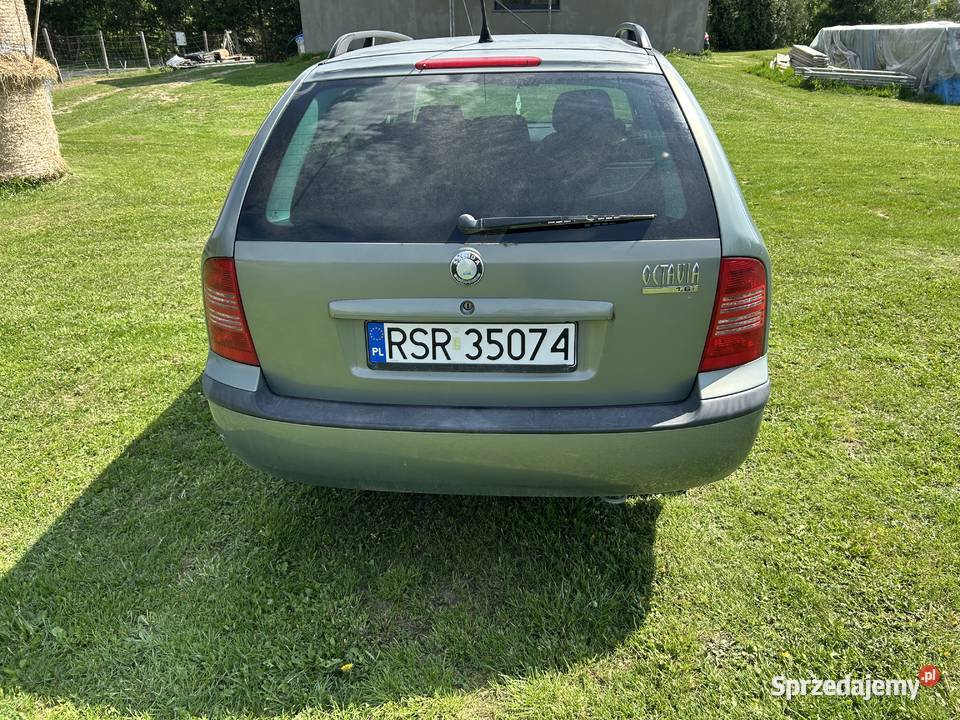 Skoda octavia 16 mpi Czudec